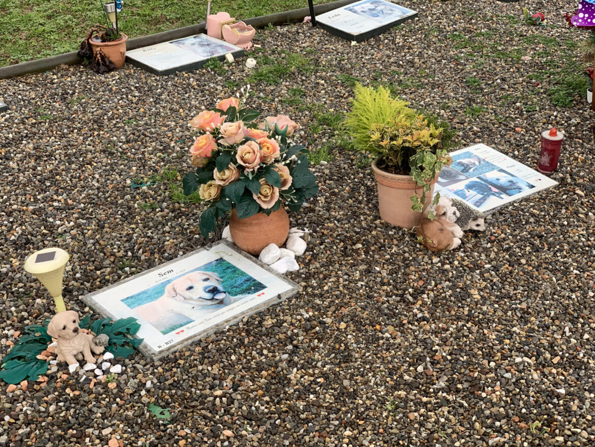 Cimitero per animali d'affezione a Milano