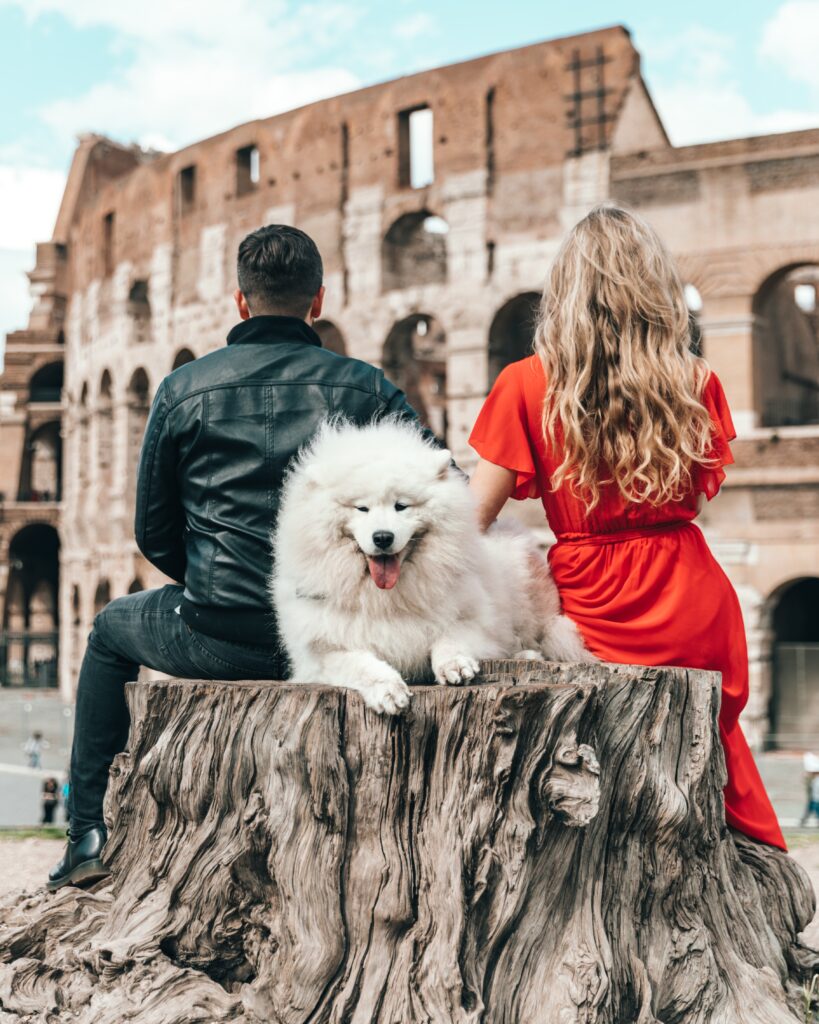 cani e gatti cosa dice la legge a Roma