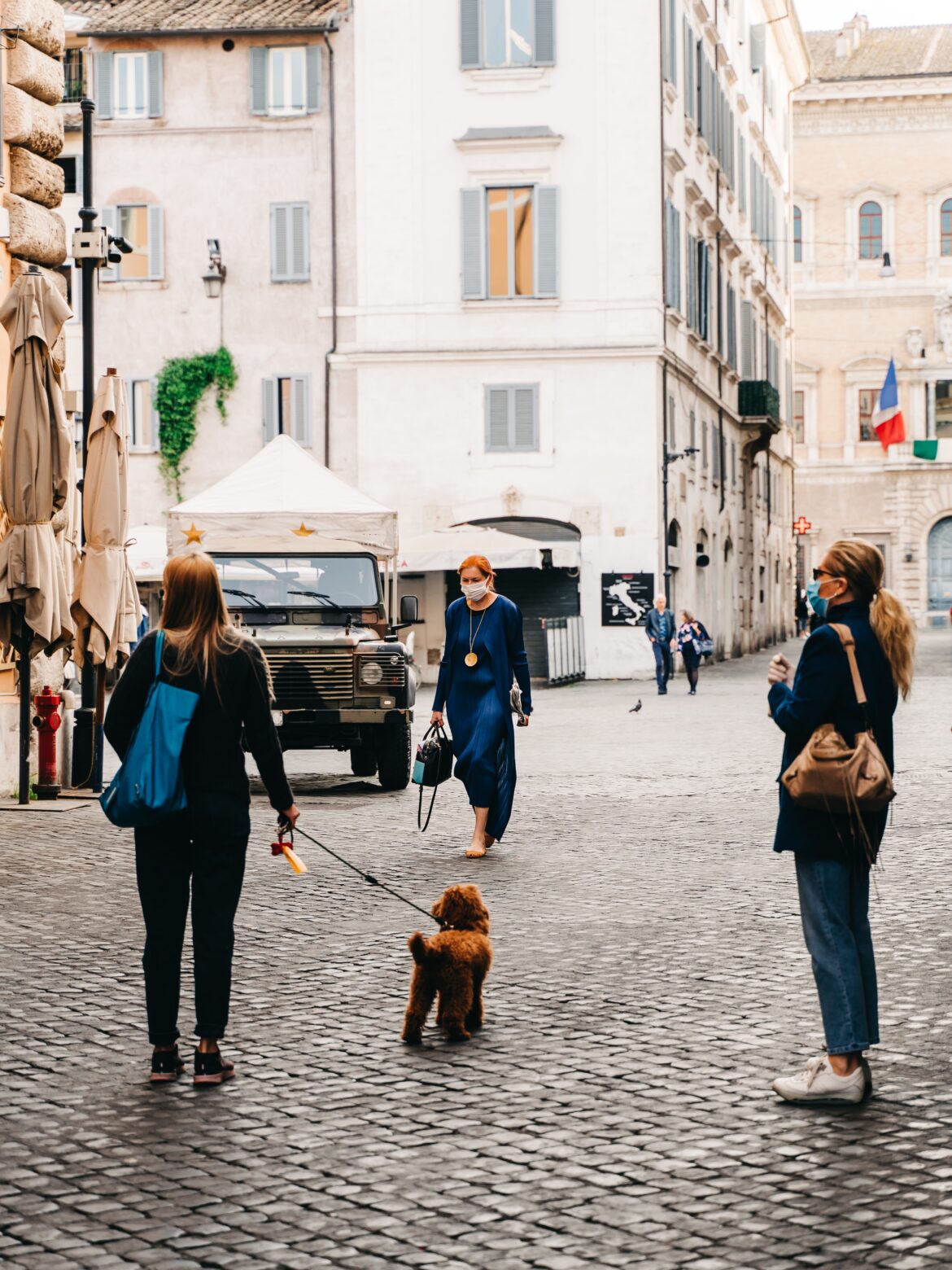 cani e gatti a Roma cosa dice la legge