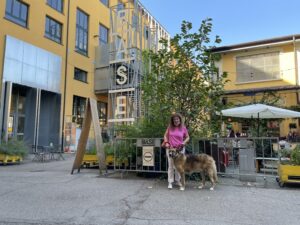 petfriendly Milano base museo brunch