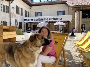 centro culturale mare culturale cane petfriendly Milano mangiare concerti
