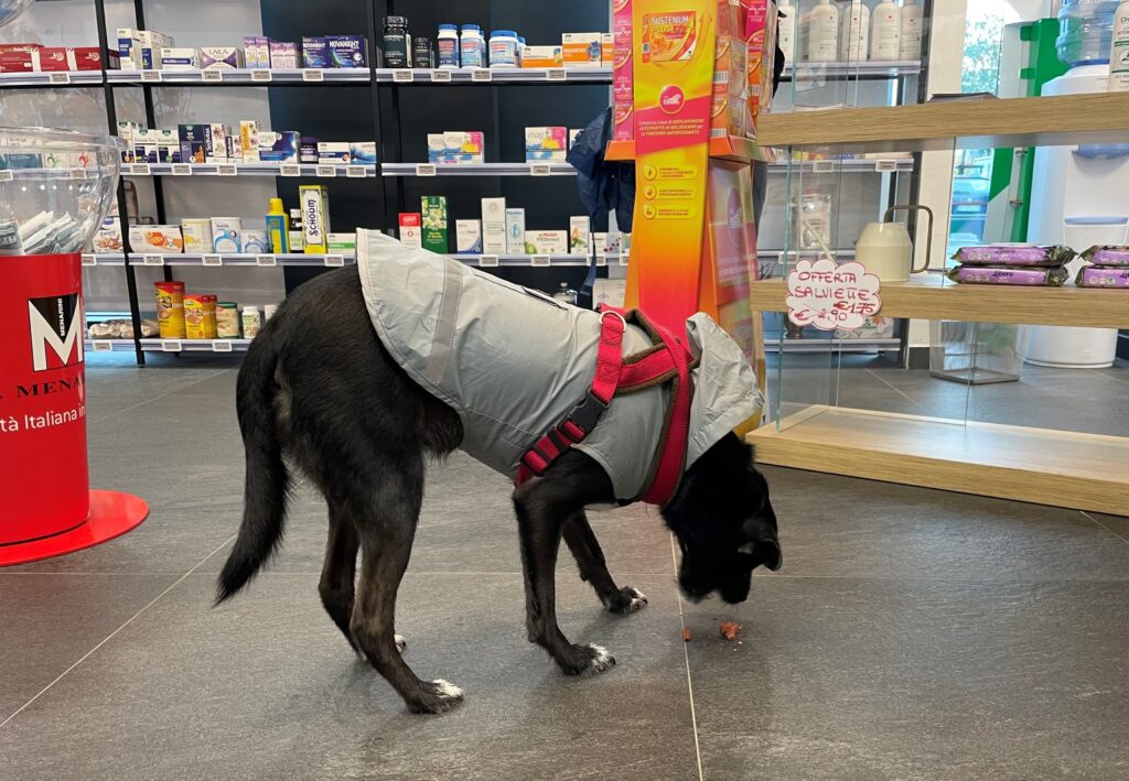 farmacie veterinarie a MIlano