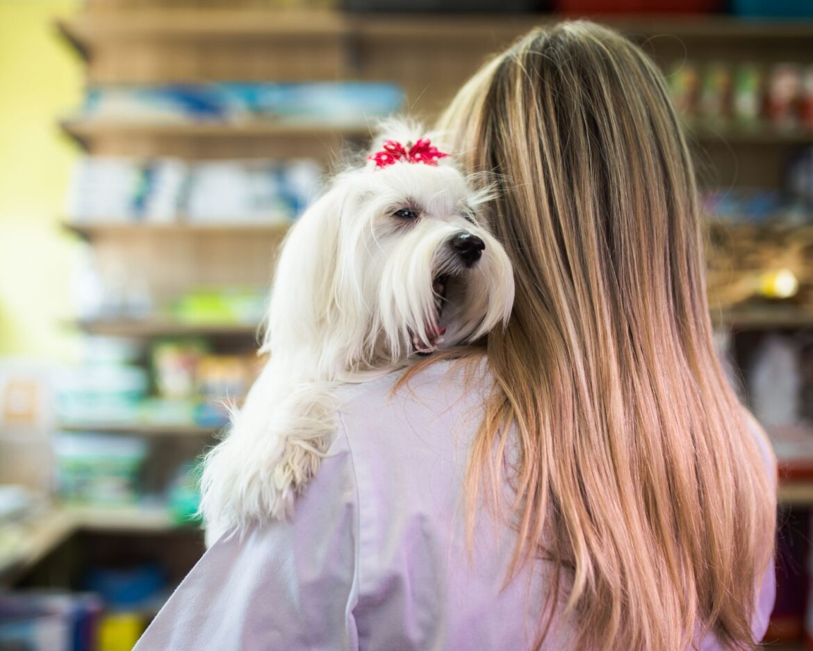 farmacie veterinarie a MIlano