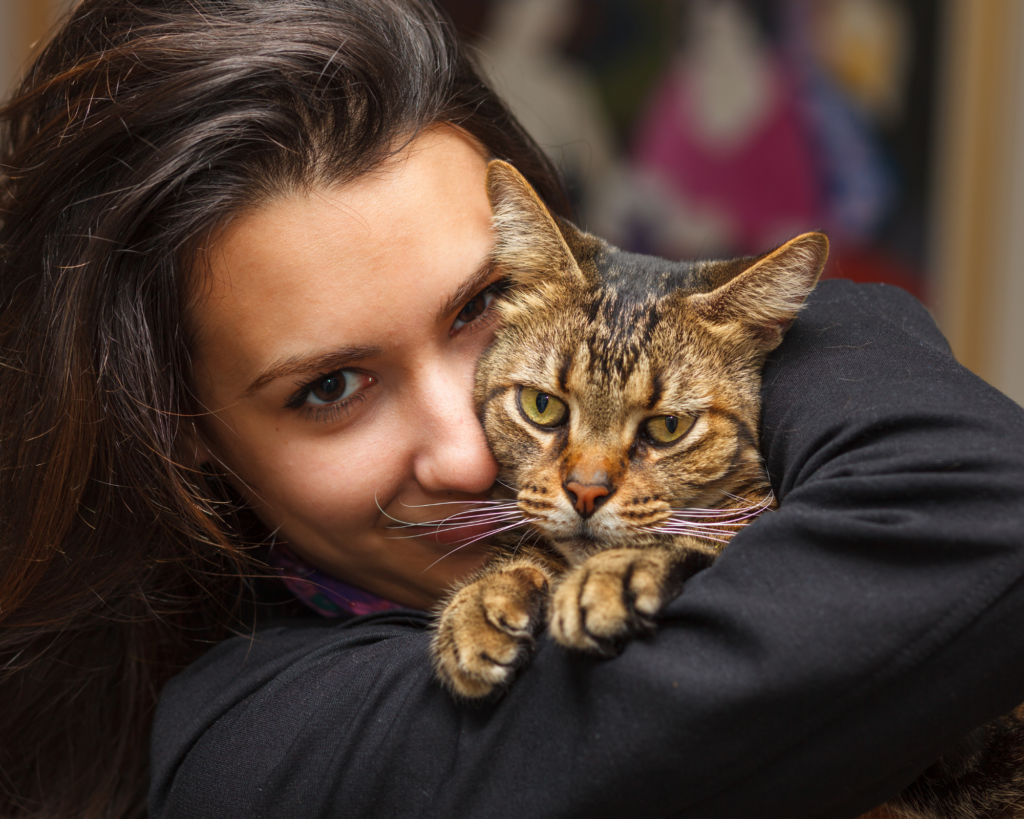 10 cose strane sui gatti