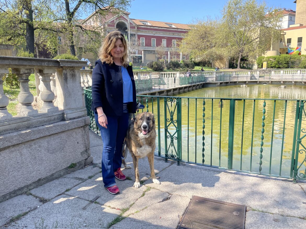 Cane senza guinzaglio a MIlano? in questo parco si può fare