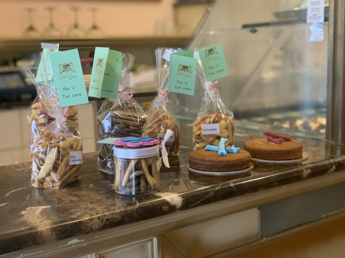 5 pasticcerie per cani a Milano e dintorni
