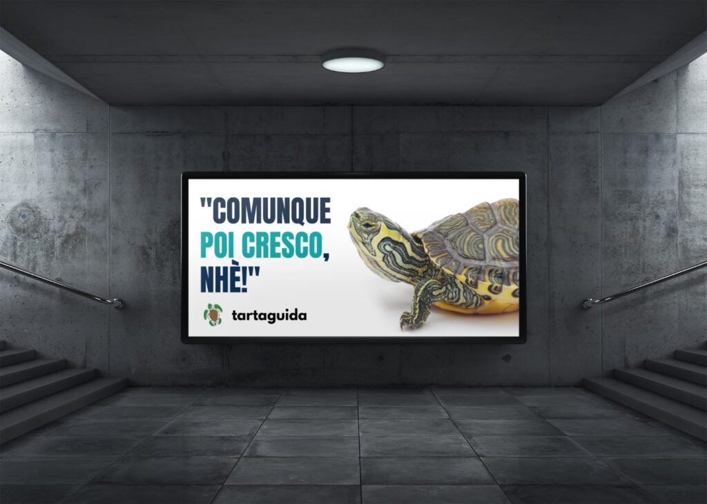 tartaguida contro le fake news